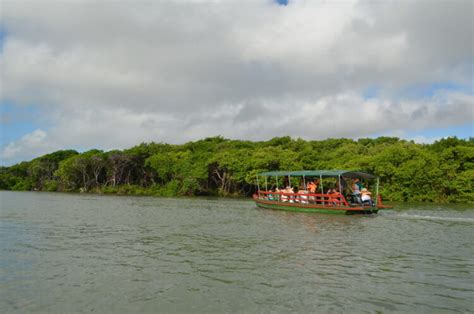 Passeio De Barco Pelo Rio Cocó é Retomado Saiba Como Participar