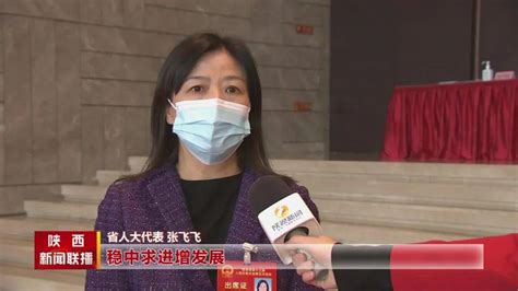 省人大代表热议政府工作报告 搜狐大视野 搜狐新闻