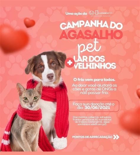 Pet Shop Lan A Campanha Do Agasalho Em Foz Do Igua U Solutudo