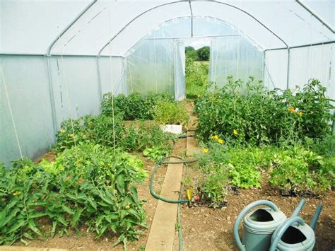 Pourquoi cultiver des légumes dans une serre de jardin Serre jardin