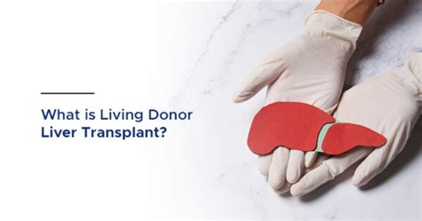 What Is Living Donor Liver Transplant Benefits Of Ldlt Ailbs India