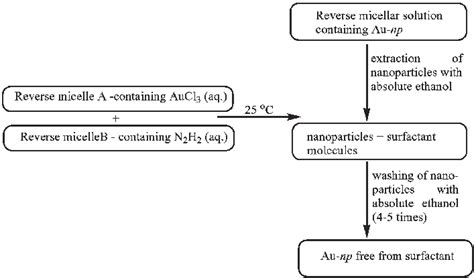 Scheme 2 Preparation of Au-nanoparticles. | Download Scientific Diagram