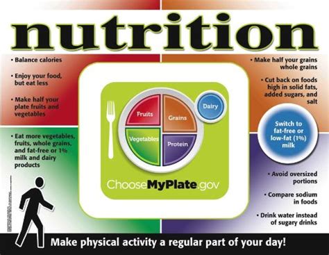 Myplate For Older Adults Poster 98A