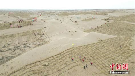 Gansu Fight Desertification With Straw Barriers People S Daily Online