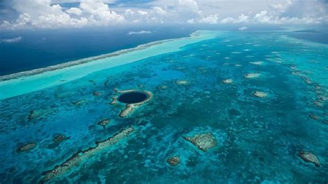 Arrecife Mesoamericano En Quintana Roo El Souvenir