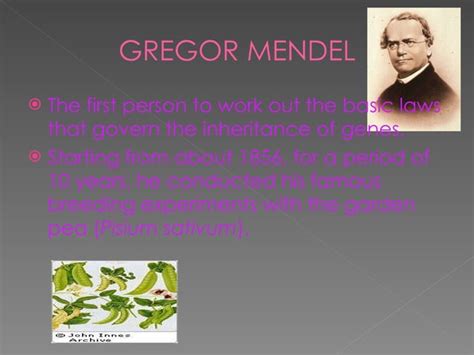 5.1 mendel's experiments | PPT