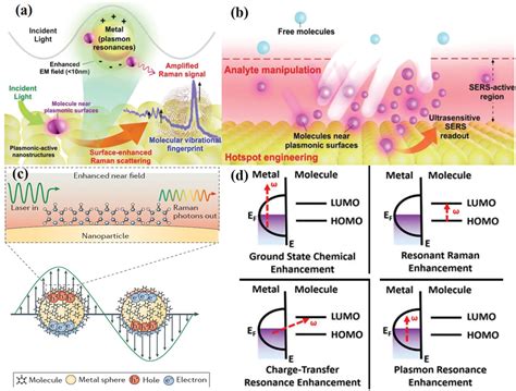 Bacteria Detection From Powerful SERS To Its Advanced Compatible