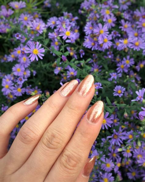 Bluebird Asters Highlinenyc Cirquecolors Halcyon Nails