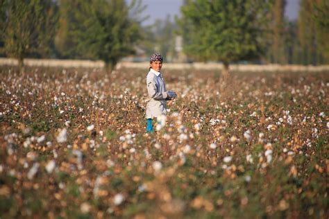 It’s Not Time to End the Uzbek Cotton Boycott Yet