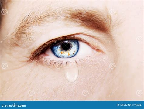 Eye Tear Drop Stock Images - Download 278 Royalty Free Photos