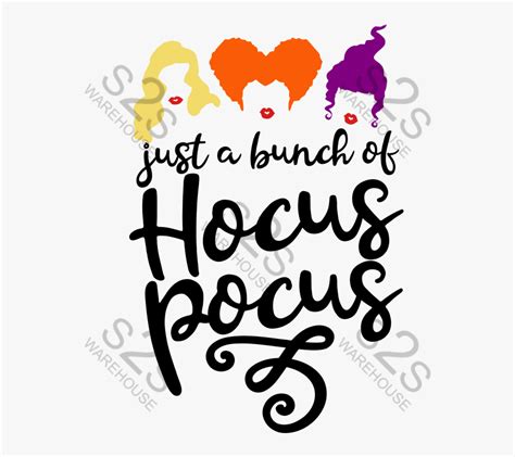 Just Hocus Pocus Calligraphy Hd Png Download Transparent Png Image