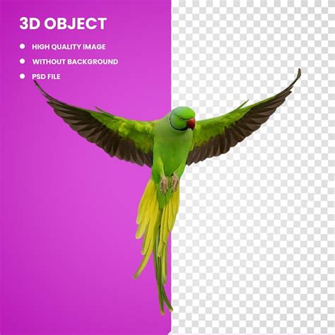 Premium Psd D Parrot Lovebird Rose Ringed Parakeet