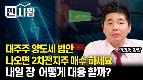 찐시황 대주주양도세 법안 나오면 2차전지주 매수하세요 급등한 반도체주 내일 장 어떻게 대응해야 할까ㅣ박현상 차장