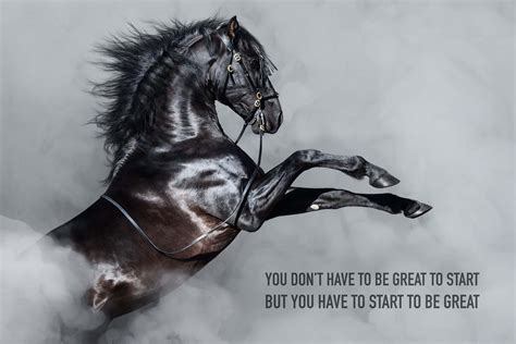 Most Popular Horse Theme Quote Posters Power Strength Elegant