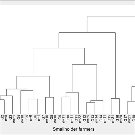 Dendrogram Resulting From Wards Method Of Cluster Analysis Using Data