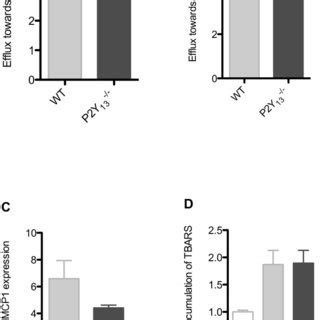 P Y Deficiency Does Not Change The Functional Properties Of Hdl On