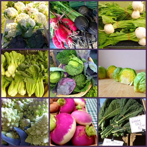 Cruciferous Veggies - Let Me Introduce You! — Growing Roots