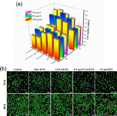 Cell Viability Of L Cells Co Cultured With All Samples With