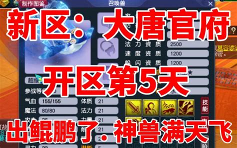 梦幻西游新区大唐官府开区第5天出鲲鹏了买套锦衣和战骑哔哩哔哩bilibili梦幻西游