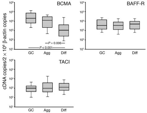 JCI BLyS And APRIL In Rheumatoid Arthritis