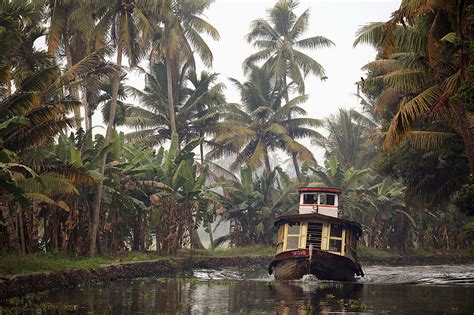 India, Kerala, Backwaters, motorboat, … – License image – 70290048 ...