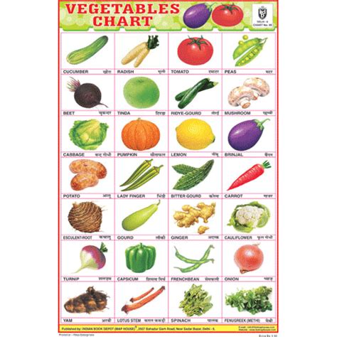 VEGETABLES CHART (28 PHOTO) SIZE 24 X 36 CMS CHART NO. 95