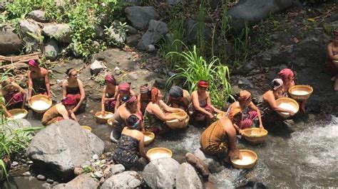 Wisata Lombok Mengenal Ritual Bisok Menik Dalam Maulid Adat Bayan