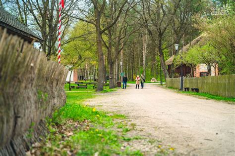 Muzeum Wsi Radomskiej otwarte dla zwiedzających zdjęcia