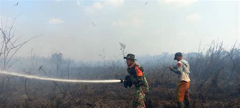 Karhutla Di Pudak Hektar Lahan Warga Hangus Terbakar