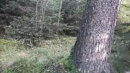 Geile Arschfotze 16 05 2021 Pissing Pissing Porn XHamster