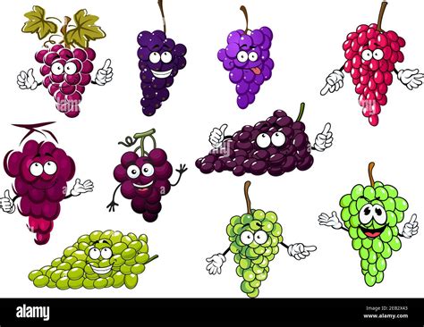 Dulces Racimos Jugosos De Frutos De Uva Púrpura Verde Y Rojo Personajes De Dibujos Animados Con