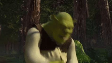 Shrek Shrek2 Shrek Shrek2 Shocked Discover Share GIFs