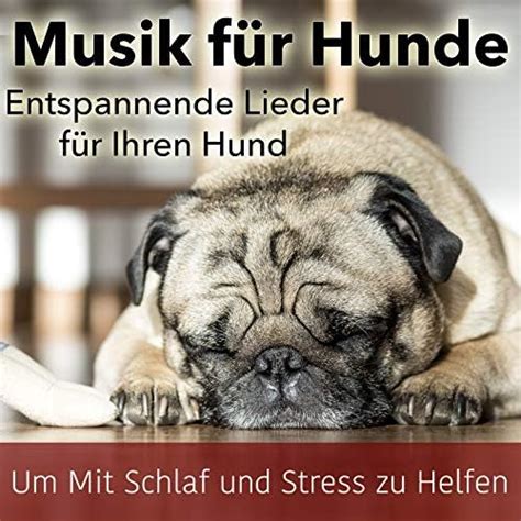 Musik F R Hunde Entspannende Lieder F R Ihren Hund Um Mit Schlaf Und