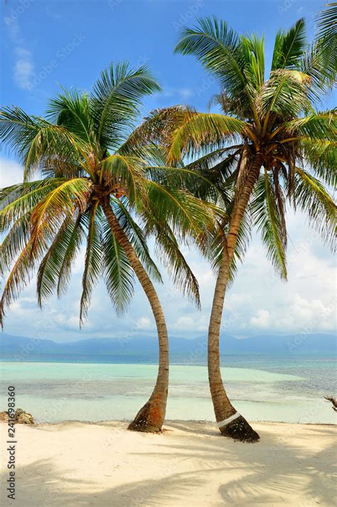 Palmeras En Una Playa Paradisiacas En Las Islas Del Caribe Stock Photo