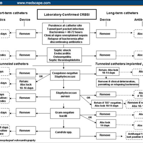 Treatment of catheter-related bloodstream infection. Adapted from ...