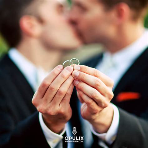 El Mejor Invitado De Mi Boda Gay Opulix