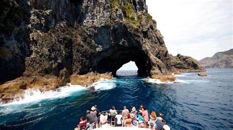 Things To Do In New Zealand North Island Kayak New Zealand