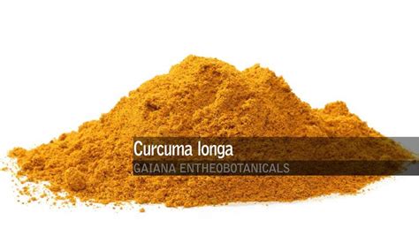 Organic Curcuma Powder Curcuma Longa Root Powder Bio Turmeric