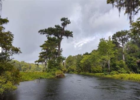 The Lodge at Wakulla Springs in Wakulla Springs, FL - Virtual Globetrotting