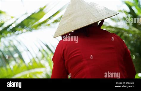 Asian Female Rowing Sampan Boat Mekong River Vietnam Stock Video