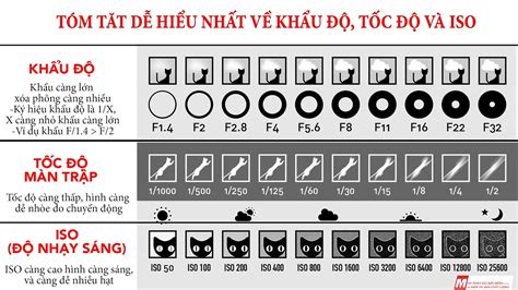 Tìm hiểu khẩu độ ISO và tốc độ màn trập của máy ảnh dễ hiểu nhất