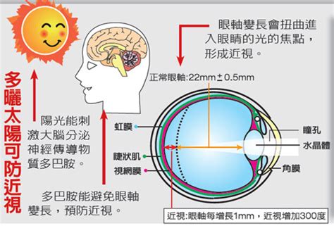 孩子的近视度数涨得太快怎么办？救星来啦！ 365护眼网