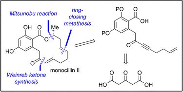 Total synthesis of 14 membered ring β resorcylic acid lactone