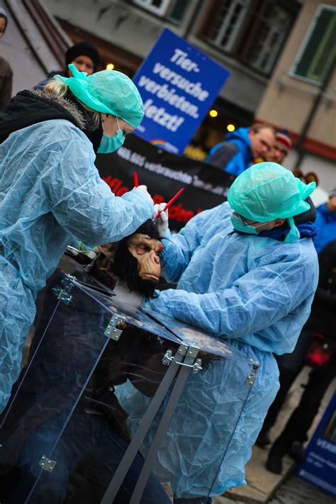 Demo Gegen Tierversuche In Tübingen Am 17122016 Partei Mensch