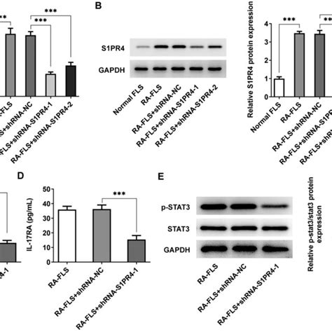 Interference Of S1pr4 Inhibited The Il 17stat3 Signaling Pathway