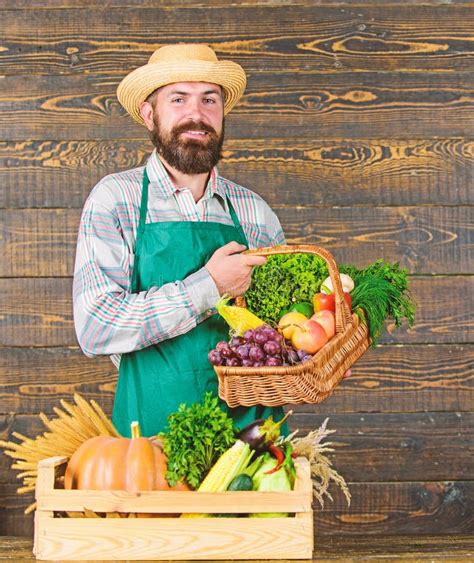 Granjero Con Las Verduras De Cosecha Propia Verduras Org Nicas Frescas