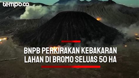 Kebakaran Ha Lahan Di Bromo Bnpb Api Menyebar Cepat Di Hutan