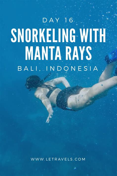 Snorkeling in Bali | Indonesia travel, Travel destinations asia, Bali ...