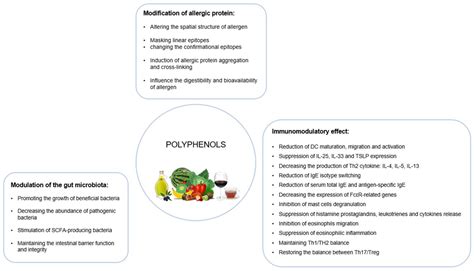 Nutrients Free Full Text Dietary Polyphenols—natural Bioactive