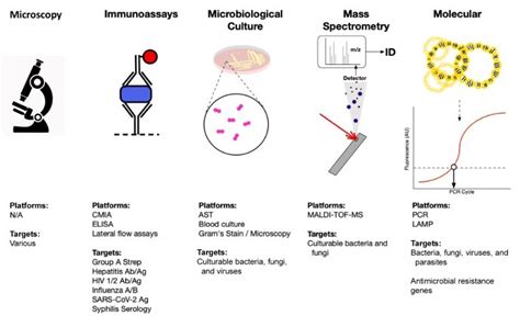 Infectious Disease Immunoassays Creative Diagnostics